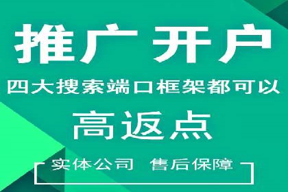 行业新秀如何通过SEM实现快速崛起